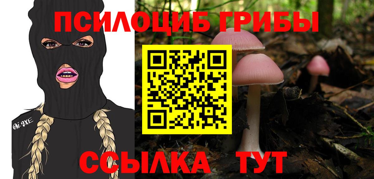 наркота  Галлюциногенные грибы GOLDEN TEACHER  Кировск  Вход с VPN  Псилоцибиновые грибы Magic Shrooms 